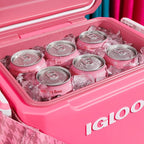 Igloo Tag Along Too Coolers | Insulated Hard Shell Picnic Style Cooler | Rolling Ice Chest