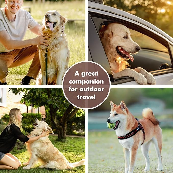Collapsible Dog Bowls, Travel Food and Water Double Bowl for Cats & Dogs, 2-in-1 Portable BPA-Free Feeding Solution, Perfect for Traveling, Camping & Walking (L/ 100oz)