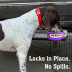 Dog Crate Water Bowl No Spill, 20oz Food-Grade Polypropylene Feeder, Secure Crate Mount with Covered Parts, Travel-Ready & Easy to Clean (Purple)