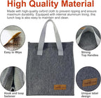 Mziart Minimalist Lunch Bag, Reusable Insulated Bag for Women Men Box Container Leakproof Simple Bento Tote Adults Cooler Work Office Picnic or Travel (Grey) M23HK-LB-005-JJ