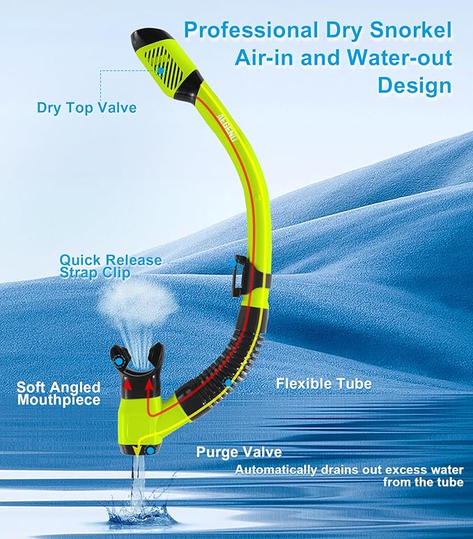 Aegend Snorkeling Gear for Adults Youth Kids, Snorkel Mask with Top Dry Valve - Panoramic View Anti-Leak and Anti-Fog with Mesh Bag for Snorkeling, Scuba Diving, Freediving & Swimming