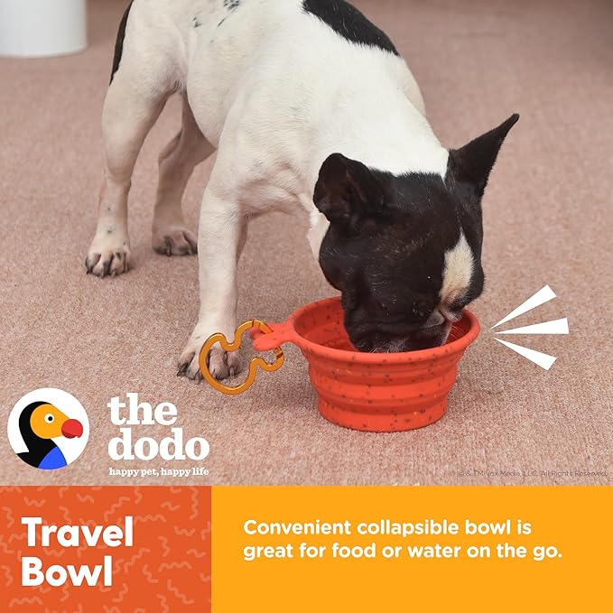 The Dodo Collapsible Dog Bowl, Red; Travel Dog Bowl That Folds Flat and Clips with Carabiner for Easy Storage and Carry