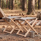 Folding Canvas Camp Stools Set of 2, Wood Folding Camping Stool Patio Portable Foot Stool for Garden Outdoor Fishing Picnic Travel BBQ, Grey