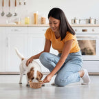 Small Dog Bowls - 25 Compostable Disposable Feeding Bowls for Dogs and Cats - Good for Dry or Wet Food, Hot or Cold Pet Food, and Travel
