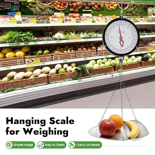 22LBS Double Sided Dial Hanging Scale, Mechanical Hanging Scale with Scoop/Chain, Portable Handheld Scale Commercial Household Weighing Scales for Supermarkets Farm Kitchen (Red/Black)