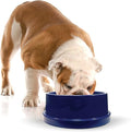 K&H Pet Products Coolin' Dog Water Bowl, Summer Cooling Water Bowl for Small, Medium & Large Dogs & Cats, Indoor Outdoor Insulated Ice Cold Pet Dish to Keep Pets Hydrated - 96 Ounces Chill Blue