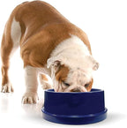 K&H Pet Products Coolin' Dog Water Bowl, Summer Cooling Water Bowl for Small, Medium & Large Dogs & Cats, Indoor Outdoor Insulated Ice Cold Pet Dish to Keep Pets Hydrated - 96 Ounces Chill Blue
