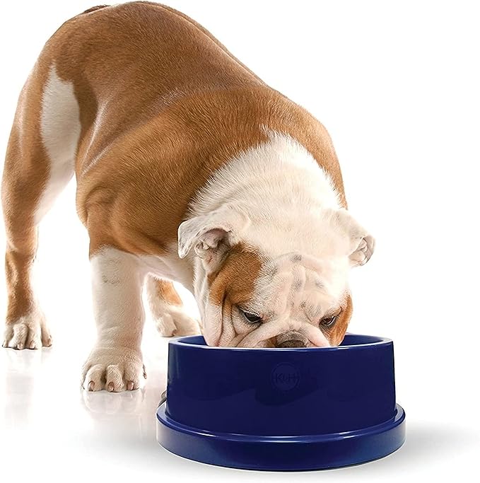 K&H Pet Products Coolin' Dog Water Bowl, Summer Cooling Water Bowl for Small, Medium & Large Dogs & Cats, Indoor Outdoor Insulated Ice Cold Pet Dish to Keep Pets Hydrated - 96 Ounces Chill Blue