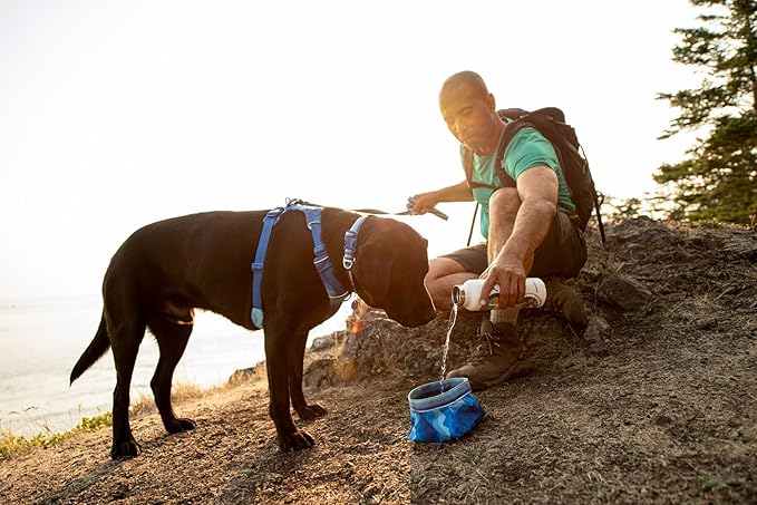 Ruffwear, Quencher Collapsible Dog Bowl, Packable Food & Water Bowl with Waterproof Lining, Water-Resistant Shell, & Reflective Trim, Lightweight, 4.2 Cups (1 L), Moonlight Mountains, Medium