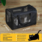 Conlun Cat Carrier Bag,Soft-Sided Pet Carriers for Dogs with 4-Sided Mesh,Airline Approved Cat Transport Carrier for Small&Medium Cats Kitten Puppy Up to 15Lb,Collapsible Cat Travel Carrier-M,Black