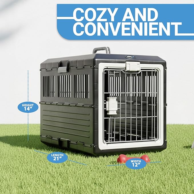 Pet Carrier with Pad, 21.5" L x 12" W x 14" H - Collapsible Travel Kit for Small Cats & Dogs, Hard Plastic Wall Kennel for Indoor/Outdoor Use