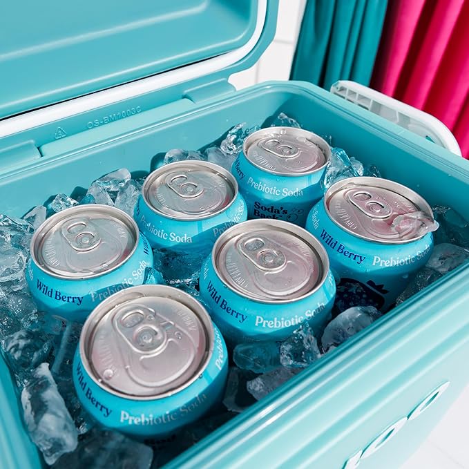 Igloo Tag Along Too Coolers | Insulated Hard Shell Picnic Style Cooler | Rolling Ice Chest