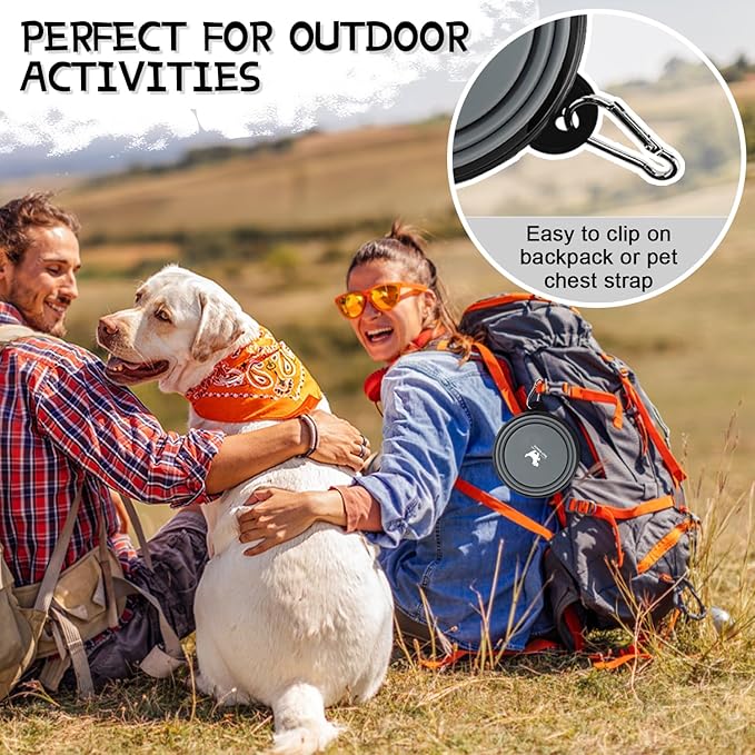 Collapsible Dog Bowls for Travel, 2-Pack Dog Portable Water Bowl for Dogs Cats Pet Foldable Feeding Watering Dish for Traveling Camping with Carabiners, BPA Free (Grey&Black, Small (Pack of 2))