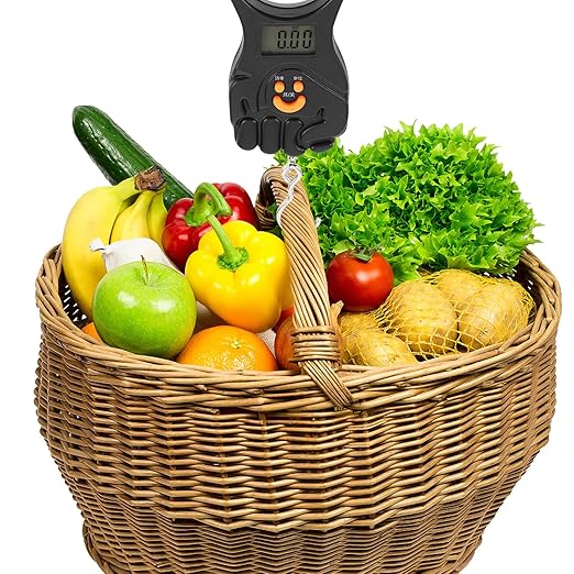 Beaupretty Portable Digital Luggage Scale Handheld Mini 50kg Travel Suitcase Weight Scale with Rechargeable Battery for Fishing and Saltwater Fishing Gear