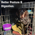 Dog Crate Water Bowl No Spill, 20oz Food-Grade Polypropylene Feeder, Secure Crate Mount with Covered Parts, Travel-Ready & Easy to Clean (Purple)