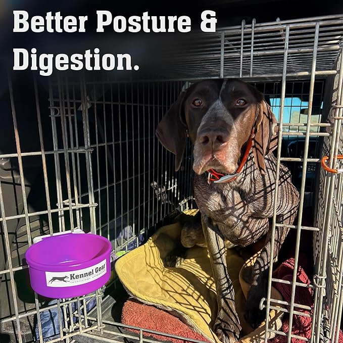 Dog Crate Water Bowl No Spill, 20oz Food-Grade Polypropylene Feeder, Secure Crate Mount with Covered Parts, Travel-Ready & Easy to Clean (Purple)