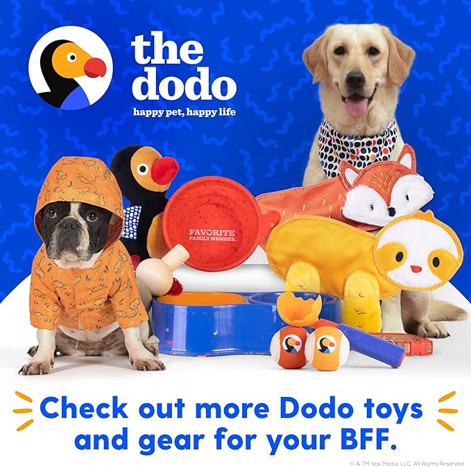 The Dodo Collapsible Dog Bowl, Red; Travel Dog Bowl That Folds Flat and Clips with Carabiner for Easy Storage and Carry