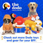 The Dodo Collapsible Dog Bowl, Red; Travel Dog Bowl That Folds Flat and Clips with Carabiner for Easy Storage and Carry