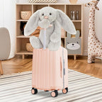 Apelila 20" Ride-On Suitcase with Seat, Double Handle Carry On Luggage with Mesh Pocket & Side Hooks, Hard Shell Spinner Wheels, TSA Lock & Seat Belt