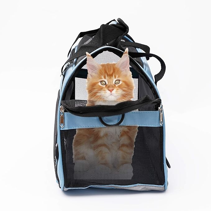 MuchL Pet Carrier Soft-Sided Carriers for Cat Carriers Dog Carrier for Small Medium Cats Dogs Puppies Pet Carrier Airline Approved Cat Dog Pet Travel Carrier (Small, Blue)