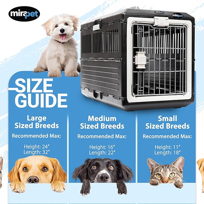 Pet Carrier with Pad, 21.5" L x 12" W x 14" H - Collapsible Travel Kit for Small Cats & Dogs, Hard Plastic Wall Kennel for Indoor/Outdoor Use