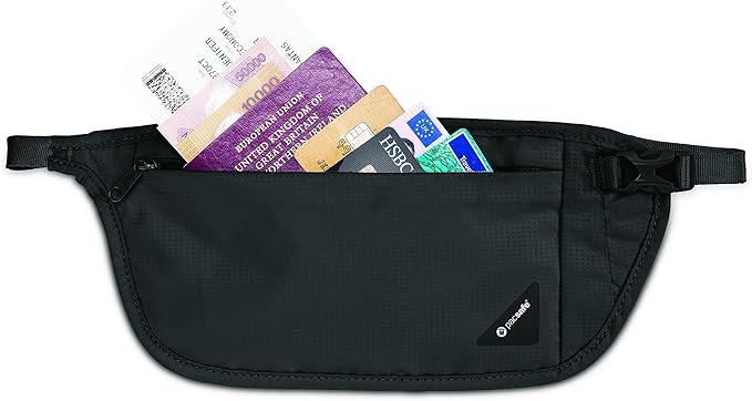 Pacsafe Coversafe V100 Anti-Theft RFID Blocking Waist Wallet, Black