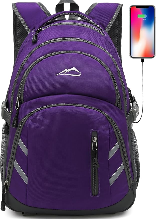ProEtrade Extra Large Backpack Bookbag for College Laptop Travel, Fit Laptop Up to 17 inch with USB Charging Port Multi Compartment Anti theft, Gift for Women Men (Light Purple)