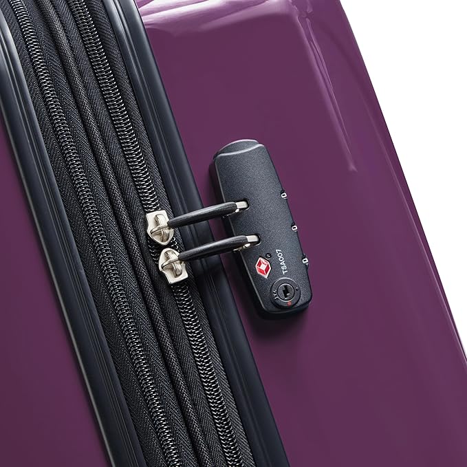 DELSEY PARIS Helium Aero Hardside Expandable Luggage with Spinner Wheels, Plum, Checked-Large 28 Inch