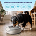 Maxi Filtered Dog Water Bowl, 2L/68oz — No Power or Batteries Needed, Auto-Refill, No Spill, Portable Travel Lock, Carbon Filter, BPA-Free, Dogs & Cats