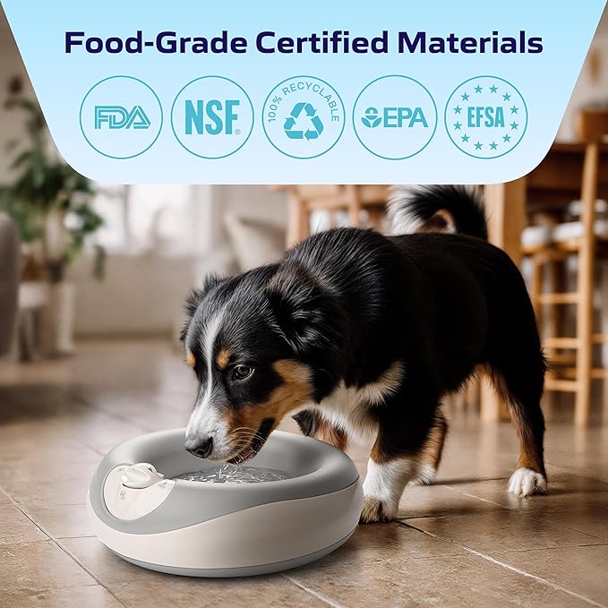 Maxi Filtered Dog Water Bowl, 2L/68oz — No Power or Batteries Needed, Auto-Refill, No Spill, Portable Travel Lock, Carbon Filter, BPA-Free, Dogs & Cats
