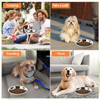 Patelai 24 Pcs Stainless Steel Dog Bowls with Silicone Lids Portable Food and Water Dishes for Pets Sealable Containers for 6.3" for Cats & Small Dogs (Red,Blue,Green,Purple,Yellow,Orange)