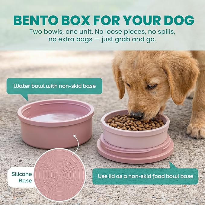 KindTail Portable Pet Feeder, Travel Dog Bowls with Lid and Handle, Microwave and Dishwasher-Safe, 10oz Inner Bowl & 20oz Outer Bowl, Grey