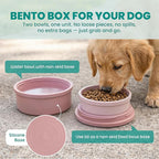 KindTail Dog Travel Bowls - Set of 2 Portable Pet Food & Water Dishes with Lid & Handle - Each Nesting Container Includes a Non-Slip Silicone Base - Microwave & Dishwasher Safe - BPA & Toxin-Free