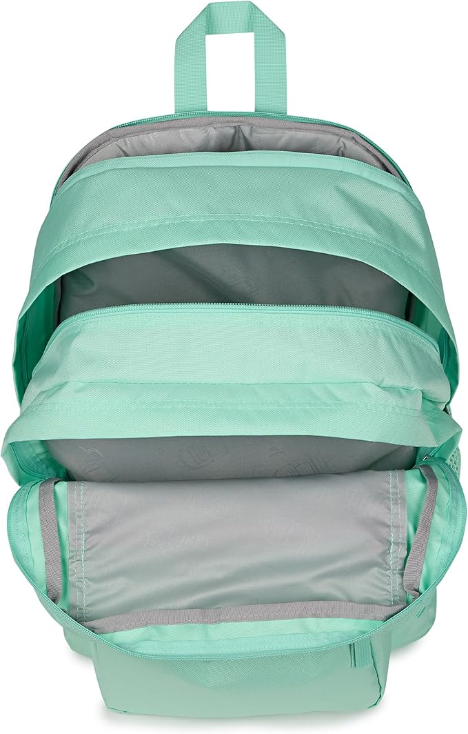 JanSport Laptop Backpack - Computer Bag with 2 Compartments, Ergonomic Shoulder Straps, 15” Laptop Sleeve, Haul Handle - Magic Mint