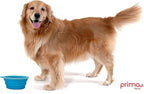 Prima Pet Expandable / Collapsible Silicone Food & Water Travel Bowl with Clip for Medium & Large Dog, Portable and Durable Pop-up Feeder for Convenient On-the-go Feeding, Size: 5 Cups (7 Inch Diameter Bowl) (LARGE (5 CUPS), AQUA)