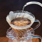 Bincoo Pour Over Coffee Maker Set, V-shape 60° Cone Drip Coffee Maker, Included 16oz Borosilicate Glass Coffee Carafer and Size 02 Coffee Dripper & 50 Pcs Paper Filter (16oz-Clear)