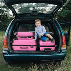 3 Piece Luggage Sets, Lightweight ABS Suitcase with 4 Spinner Wheels ＆ TSA Locks, Hardside Carry On Luggage Durable Suitcase Set for Family Travel Business - Pink, 20/24/28