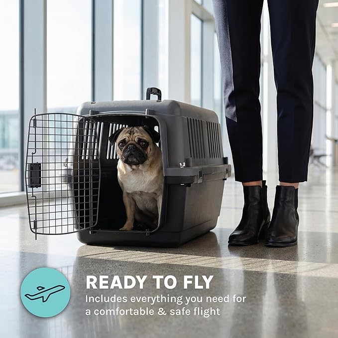 SportPet Airline Compliant Small 24" Travel Dog Kennel - Durable Plastic Airline Pet Carrier (No Wheels) & Food Bowls, Collapsible Indoor/Outdoor Dog Kennel, Dogs up to 21" L & 13" H - Dark Gray
