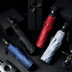 Amylove Windproof Travel Compact Umbrellas Bulk Wind Resistant Folding Auto Open and Close Rain Automatic Travel Collapsible Portable Umbrellas for Men and Women Gifts 4 Colors