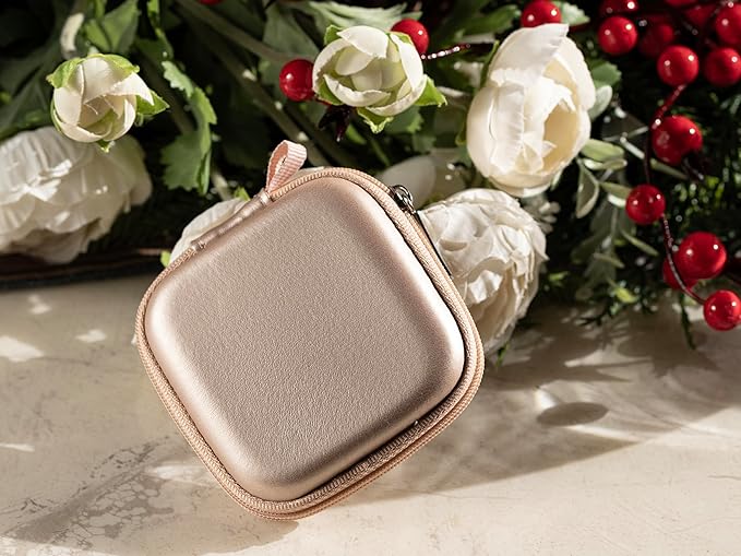 Ginsco Mini-Portable Hard Shell Square Earbuds Case for Apple EarPods/Samsung Galaxy Wired/Wireless Earbuds, Cell Phone Accessories Organizer with Carabiner for Earphones