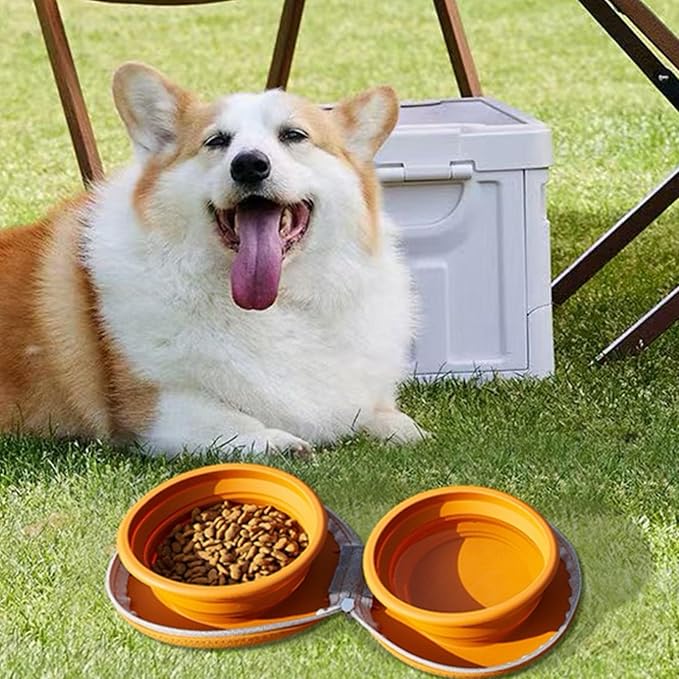 Bear Paw Foldable Pet Bowl, Dual Bowl Design for Food and Water,6.1in，Pink,Orange and Beige (Pink)