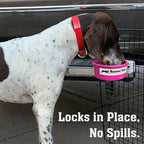 Dog Crate Water Bowl No Spill, 20oz Food-Grade Polypropylene Feeder, Secure Crate Mount with Covered Parts, Travel-Ready & Easy to Clean (Pink)
