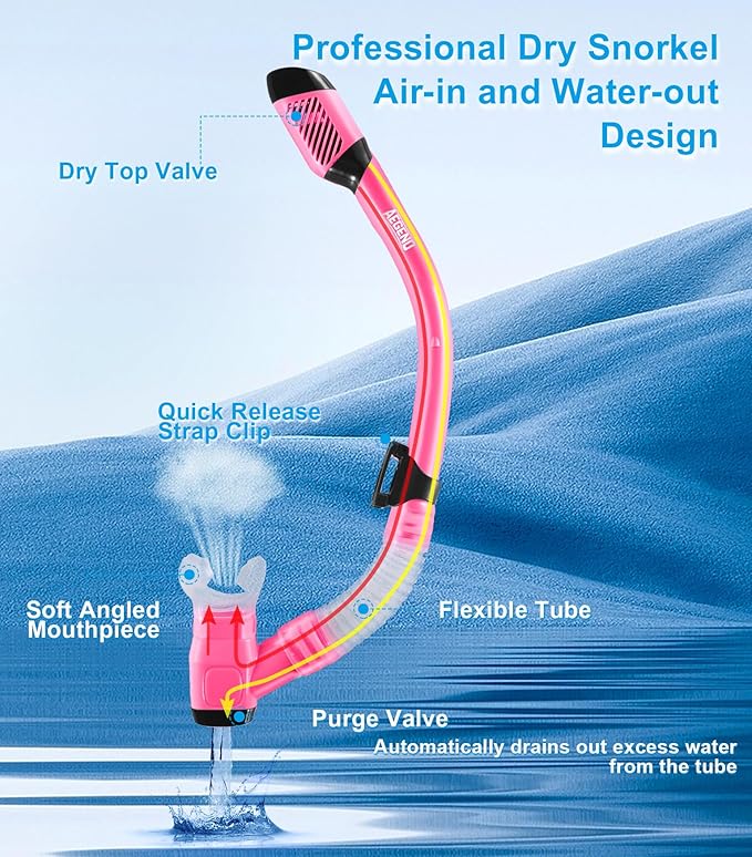 Aegend Snorkeling Gear for Adults Youth Kids, Snorkel Mask with Top Dry Valve - Panoramic View Anti-Leak and Anti-Fog with Mesh Bag for Snorkeling, Scuba Diving, Freediving & Swimming