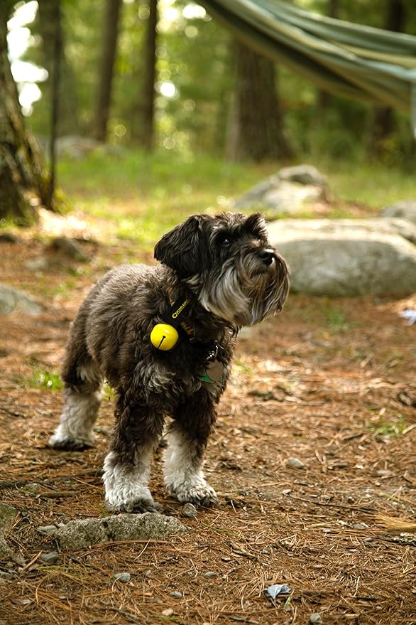 Coghlan's Magnetic Bear Bell with Silencer - Hiking Safety Gear for Wildlife Alert