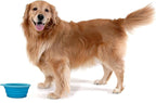 Prima Pet Collapsible Silicone Water Travel Bowl with Clip for Dog and Cat, Portable and Durable Pop-up Feeder for Convenient On-The-go Feeding – Size: Large (5 Cups) Aqua – 2 Pack