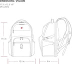 SWISSGEAR SA6752 TSA Friendly ScanSmart Laptop Backpack (Black)