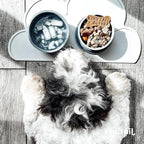 KindTail Dog Travel Bowls - Set of 2 Portable Pet Food & Water Dishes with Lid & Handle - Each Nesting Container Includes a Non-Slip Silicone Base - Microwave & Dishwasher Safe - BPA & Toxin-Free