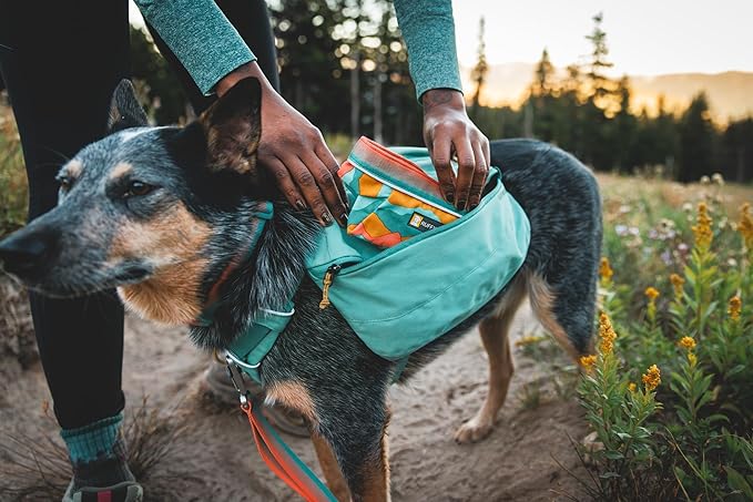 Ruffwear, Quencher Collapsible Dog Bowl, Packable Food & Water Bowl with Waterproof Lining, Water-Resistant Shell, & Reflective Trim, Lightweight, 4.2 Cups (1 L), Moonlight Mountains, Medium