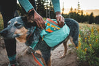 Ruffwear, Quencher Collapsible Dog Bowl, Packable Food & Water Bowl with Waterproof Lining, Water-Resistant Shell, & Reflective Trim, Lightweight, 4.2 Cups (1 L), Moonlight Mountains, Medium