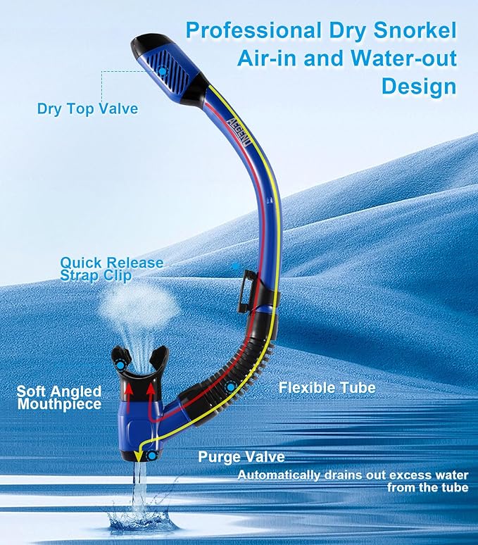 Aegend Snorkeling Gear for Adults Youth Kids, Snorkel Mask with Top Dry Valve - Panoramic View Anti-Leak and Anti-Fog with Mesh Bag for Snorkeling, Scuba Diving, Freediving & Swimming
